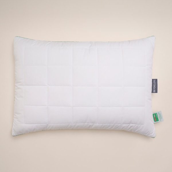 Thermoclean Pillow